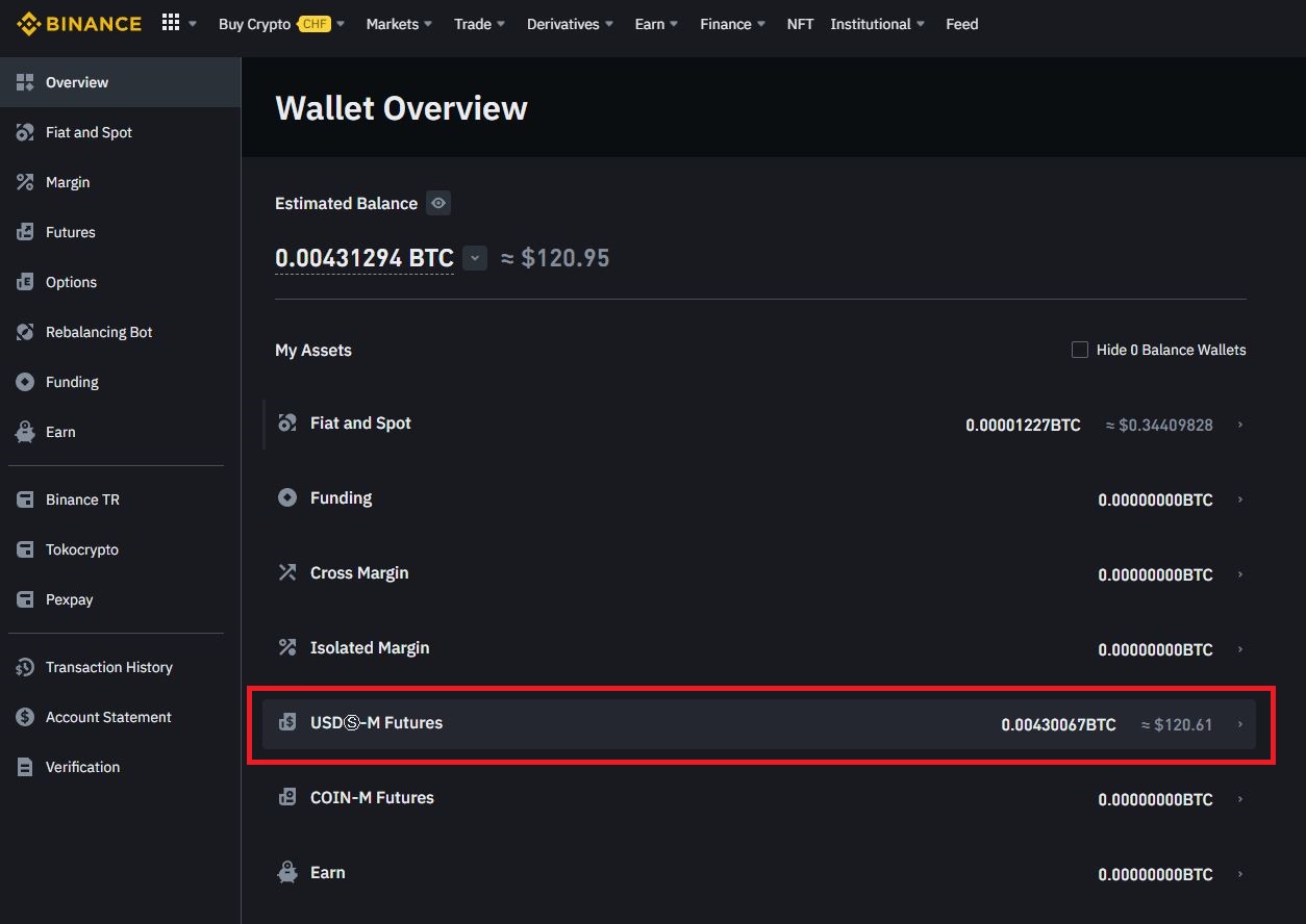 바이낸스 선물 잔고