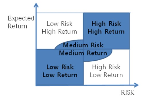 What is a Risk?