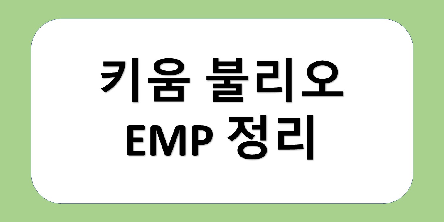 키움 불리오 EMP 정리